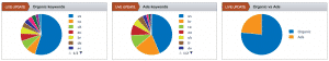 SEMRush dash 2