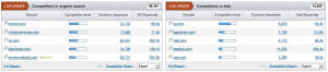 SEMRush dashboard 4