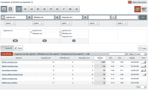 domain vs domain report