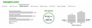 Spyfu SEO Report