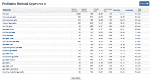 SpyFu profitable related keywords