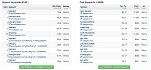 SpyFu top keyword data